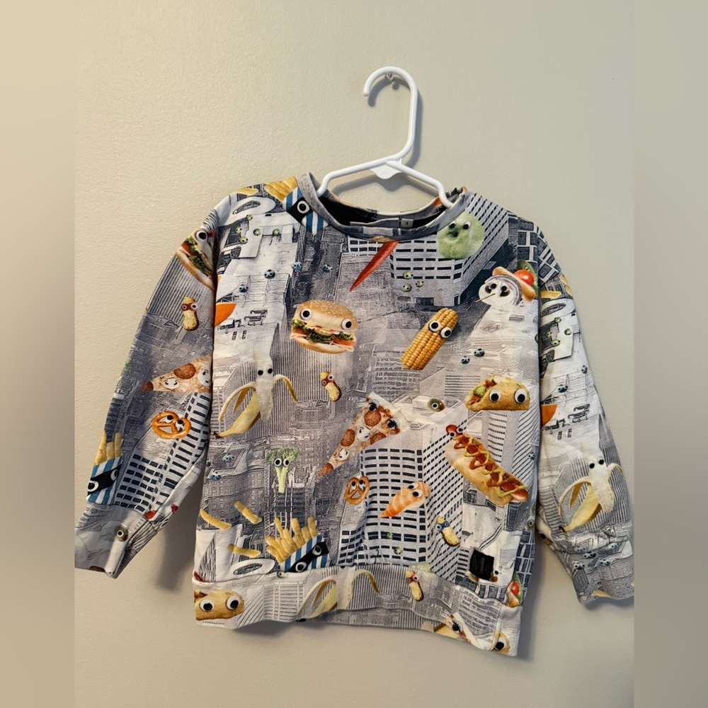 Molo Moody Foods Pullover